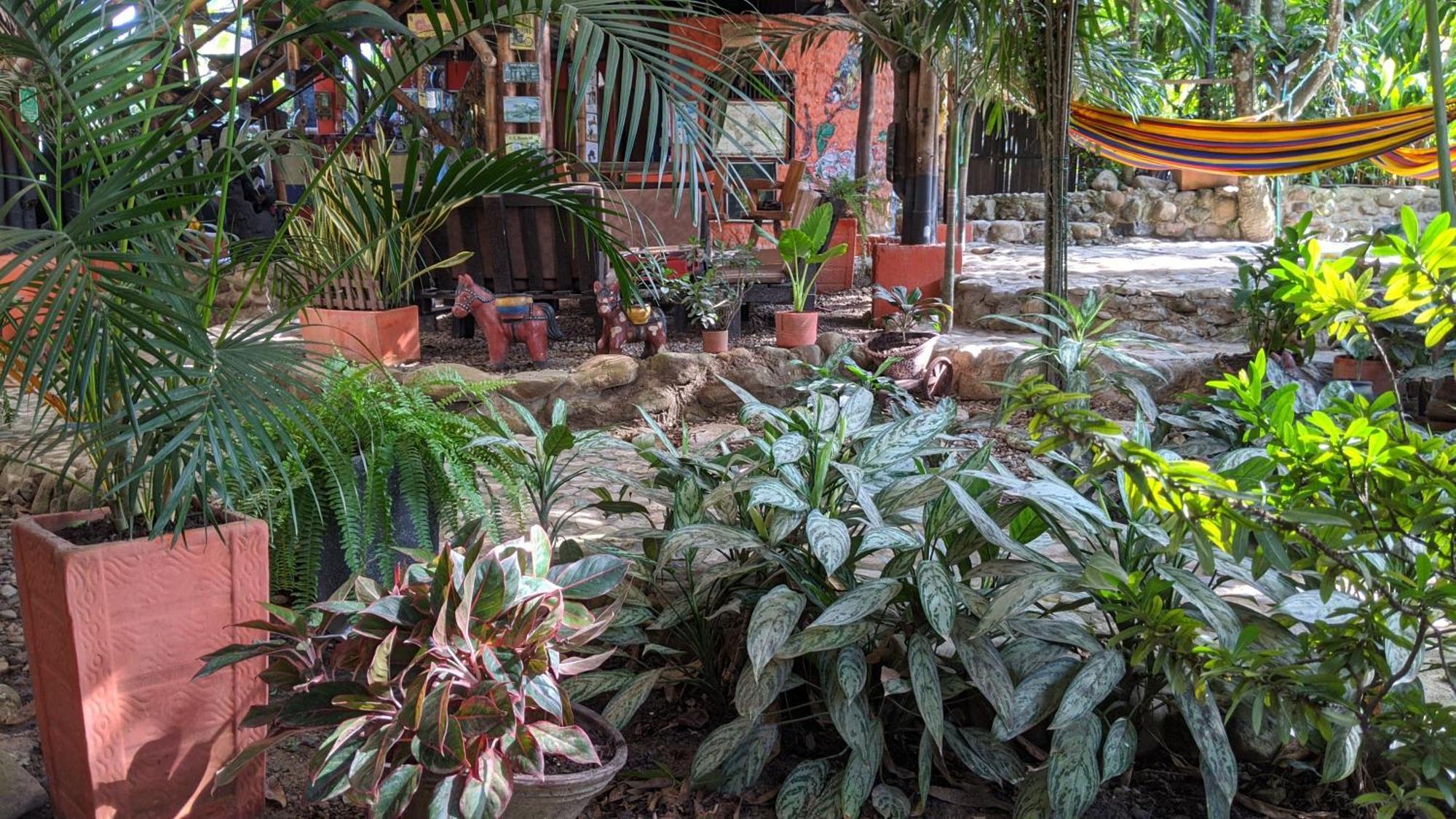Auberge de jeunesse La Natura & Pool *
